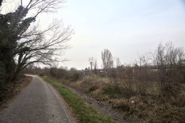 Bulutlu bir günde, alacakaranlıkta bir koruluğun yanında köy yolu.