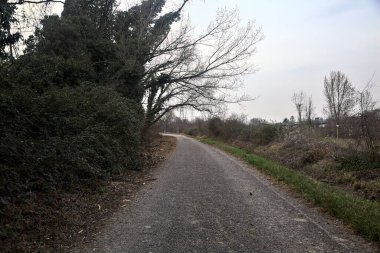 Bulutlu bir günde, alacakaranlıkta bir koruluğun yanında köy yolu.