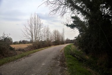 Bulutlu bir günde, alacakaranlıkta bir koruluğun yanında köy yolu.