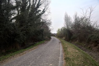 Bulutlu bir günde, alacakaranlıkta bir koruluğun yanında köy yolu.