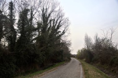Bulutlu bir günde, alacakaranlıkta bir koruluğun yanında köy yolu.