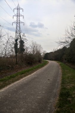 Bulutlu bir günde, alacakaranlıkta bir koruluğun yanında köy yolu.