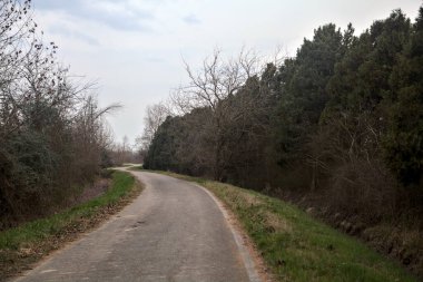 Bulutlu bir günde, alacakaranlıkta bir koruluğun yanında köy yolu.