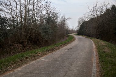Bulutlu bir günde, alacakaranlıkta bir koruluğun yanında köy yolu.