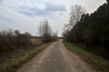 Bulutlu bir günde, alacakaranlıkta bir koruluğun yanında köy yolu.