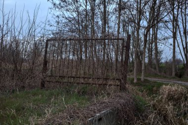 Çıplak bir koruluğun yanındaki paslı kapı ve bulutlu bir günde alacakaranlıkta bir patika.