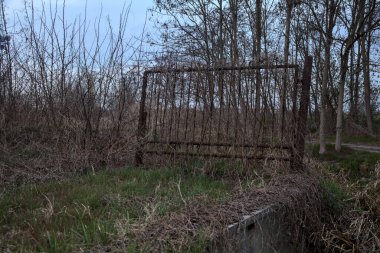 Çıplak bir koruluğun yanındaki paslı kapı ve bulutlu bir günde alacakaranlıkta bir patika.