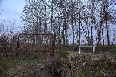 Çıplak bir koruluğun yanındaki paslı kapı ve bulutlu bir günde alacakaranlıkta bir patika.