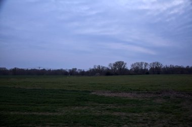 Bulutlu bir günde, ufukta bir ormanla ekilmiş tarla.