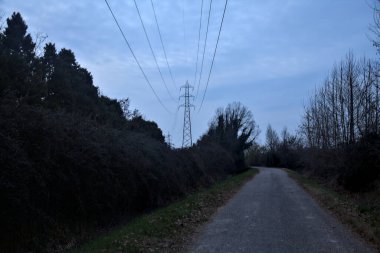 Bulutlu bir günde, alacakaranlıkta bir koruluğun yanında köy yolu.