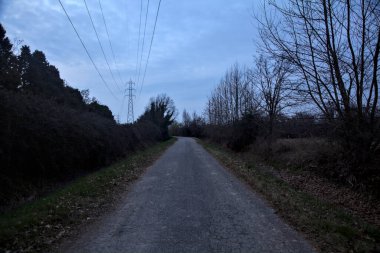 Bulutlu bir günde, alacakaranlıkta bir koruluğun yanında köy yolu.