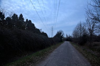 Bulutlu bir günde, alacakaranlıkta bir koruluğun yanında köy yolu.