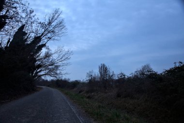 Bulutlu bir günde, alacakaranlıkta bir koruluğun yanında köy yolu.