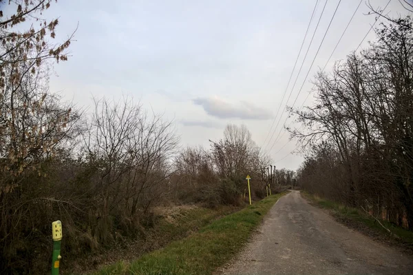 Bulutlu bir günde, alacakaranlıkta bir koruluğun yanında köy yolu.