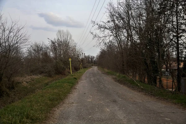 Bulutlu bir günde, alacakaranlıkta bir koruluğun yanında köy yolu.