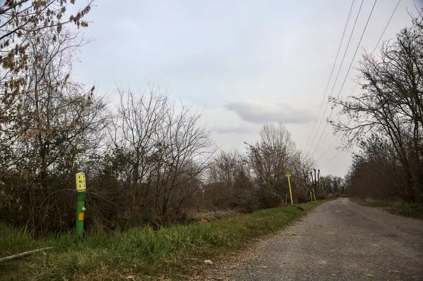 Bulutlu bir günde, alacakaranlıkta bir koruluğun yanında köy yolu.