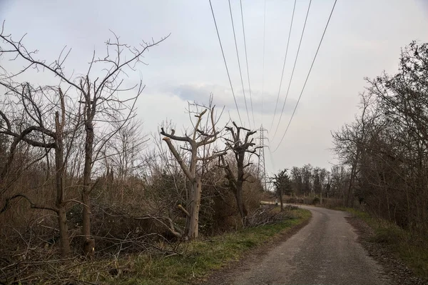 Karanlık çöktüğünde, bulutlu bir günde, bir kapısı ve çıplak ağaçları olan bir köy yolu.