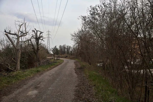 Karanlık çöktüğünde, bulutlu bir günde, bir kapısı ve çıplak ağaçları olan bir köy yolu.