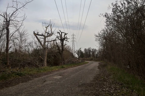 Karanlık çöktüğünde, bulutlu bir günde, bir kapısı ve çıplak ağaçları olan bir köy yolu.