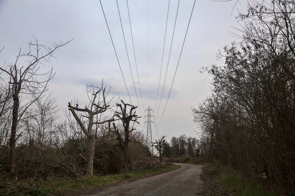 Karanlık Çöktüğünde Bulutlu Bir Günde Bir Kapısı Çıplak Ağaçları Olan — Stok fotoğraf