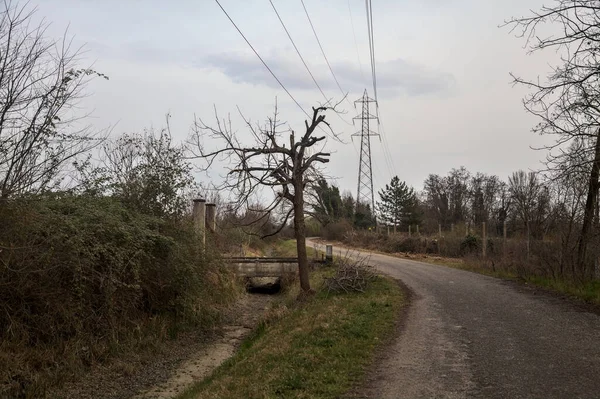 Karanlık çöktüğünde, bulutlu bir günde, bir kapısı ve çıplak ağaçları olan bir köy yolu.