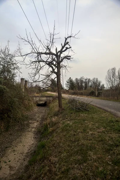 Karanlık çöktüğünde, bulutlu bir günde, bir kapısı ve çıplak ağaçları olan bir köy yolu.