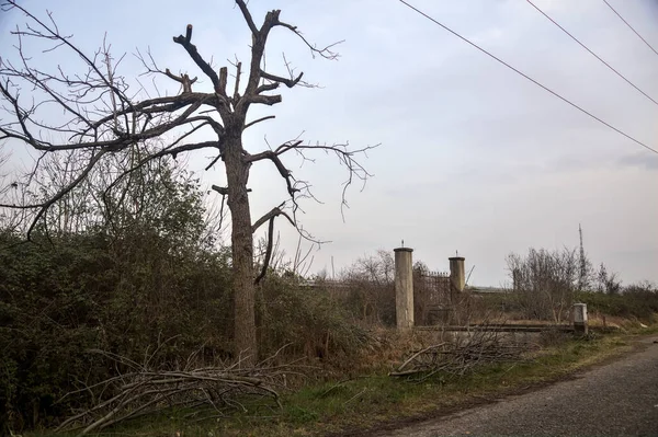 Karanlık çöktüğünde, bulutlu bir günde, bir kapısı ve çıplak ağaçları olan bir köy yolu.