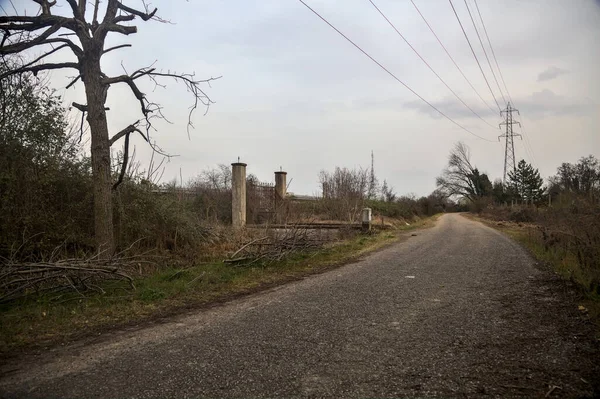 Camino Campo Con Una Puerta Árboles Desnudos Borde Día Nublado — Foto de Stock