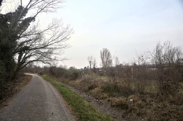 Bulutlu bir günde, alacakaranlıkta bir koruluğun yanında köy yolu.