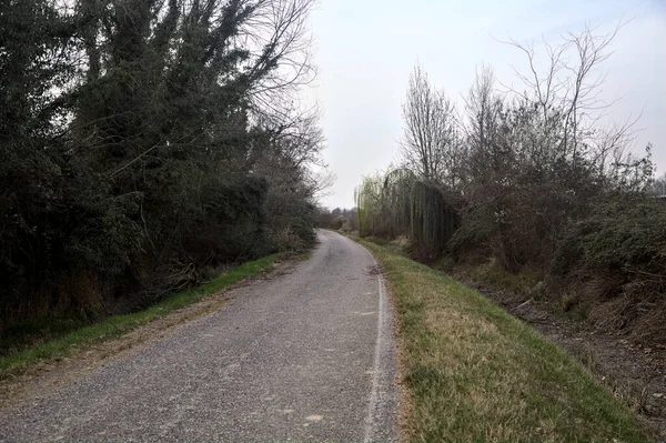 Bulutlu bir günde, alacakaranlıkta bir koruluğun yanında köy yolu.