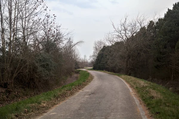 Bulutlu bir günde, alacakaranlıkta bir koruluğun yanında köy yolu.
