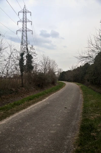 Bulutlu bir günde, alacakaranlıkta bir koruluğun yanında köy yolu.