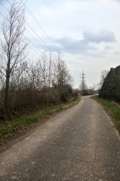 Bulutlu bir günde, alacakaranlıkta bir koruluğun yanında köy yolu.
