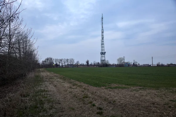 Alacakaranlıkta tarlanın kenarında koruluğu ve radyo kulesi olan bir yol.