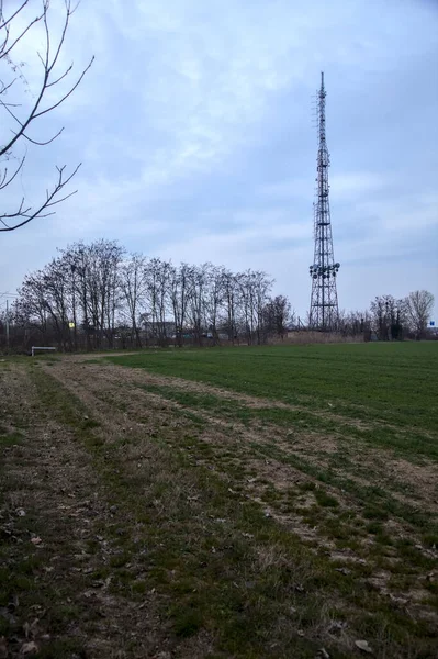 Alacakaranlıkta tarlanın kenarında koruluğu ve radyo kulesi olan bir yol.