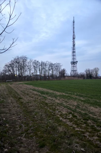 Alacakaranlıkta tarlanın kenarında koruluğu ve radyo kulesi olan bir yol.