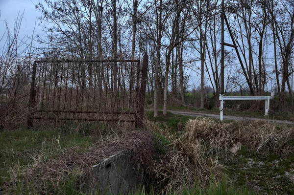 Çıplak bir koruluğun yanındaki paslı kapı ve bulutlu bir günde alacakaranlıkta bir patika.