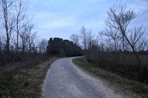 Bulutlu bir günde, alacakaranlıkta bir koruluğun yanında köy yolu.
