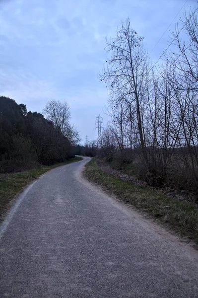 Bulutlu bir günde, alacakaranlıkta bir koruluğun yanında köy yolu.
