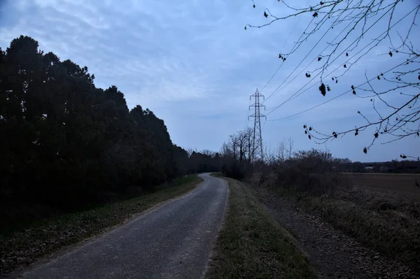 Bulutlu bir günde, alacakaranlıkta bir koruluğun yanında köy yolu.