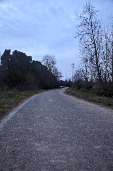 Bulutlu bir günde, alacakaranlıkta bir koruluğun yanında köy yolu.
