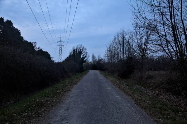 夕暮れ時の曇りの日の森の隣の田舎道 — ストック写真