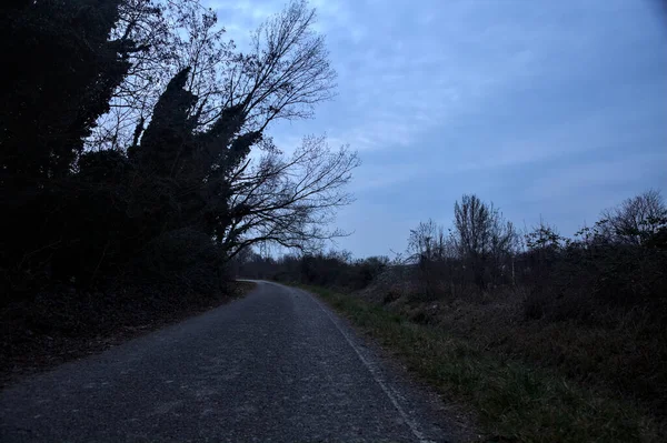 Strada Campagna Vicino Boschetto Una Giornata Nuvolosa Tramonto — Foto Stock