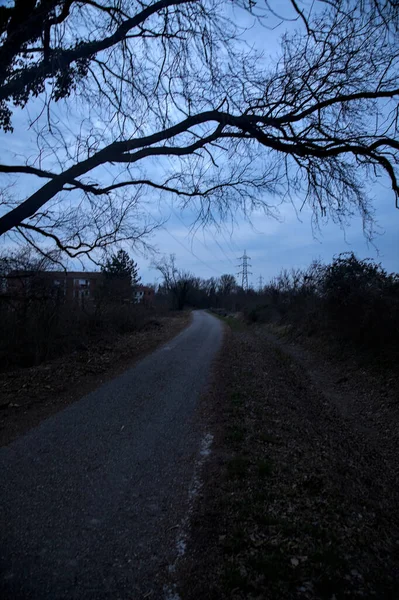 Country Road Crepuscule Egy Felhős Napon Keretezett Csupasz — Stock Fotó