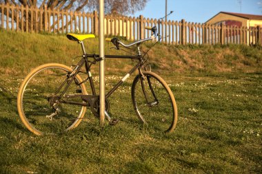 Gün batımında parkta bir direğe yaslanmış bisiklet.