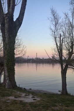 Gün batımında ağaçlarla çevrili bir gölün kıyısındaki çıplak ağaç.