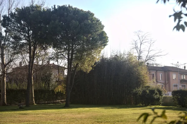 Gün batımında bir kır köşkünde bahçe