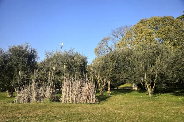 Gün batımında bir kır köşkünde bahçe