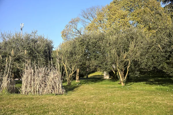 Garten Einem Landhaus Bei Sonnenuntergang — Stockfoto