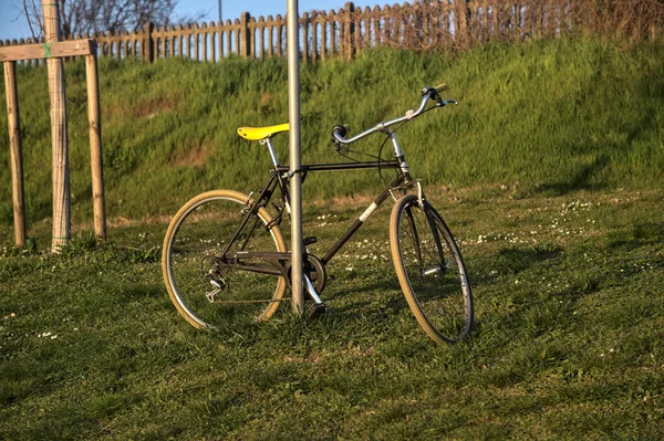 Bike Leaning Pole Park Sunset — Stock Photo, Image
